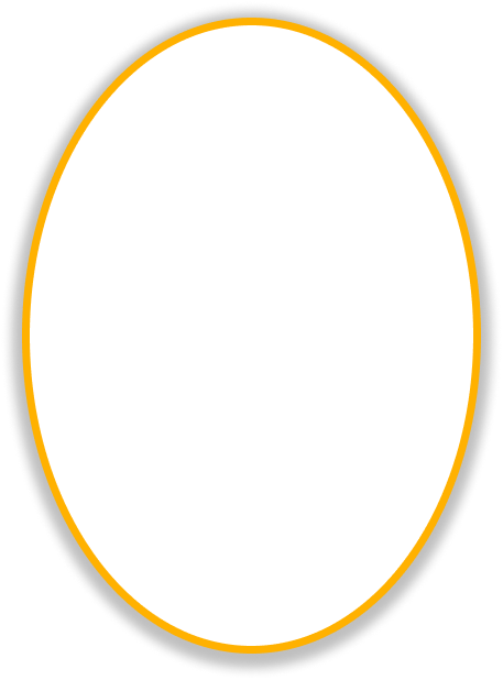 Descripción del equipo de CECINVA